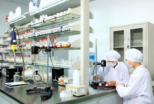 上?；瘖y品加工專業技術服務