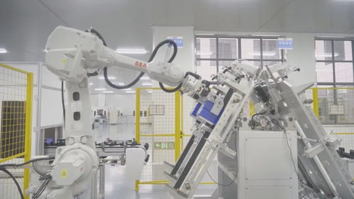 從 單腿跳 到 雙循環 安徽多措并舉助力外貿企業添韌性