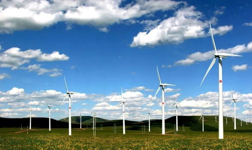 日本留學(xué)薪資最高的8大專(zhuān)業(yè)匯總 前景無(wú)限的技術(shù)服務(wù)領(lǐng)域